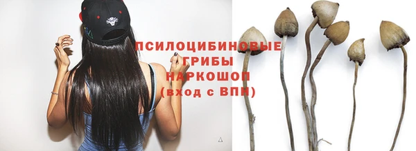 мет Пестово