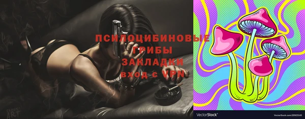 мет Пестово